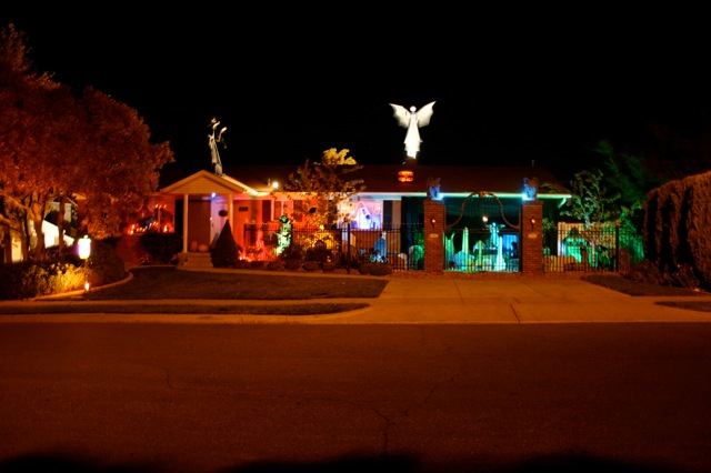 Display 2008