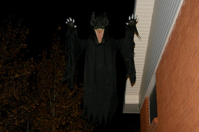 Display 2008