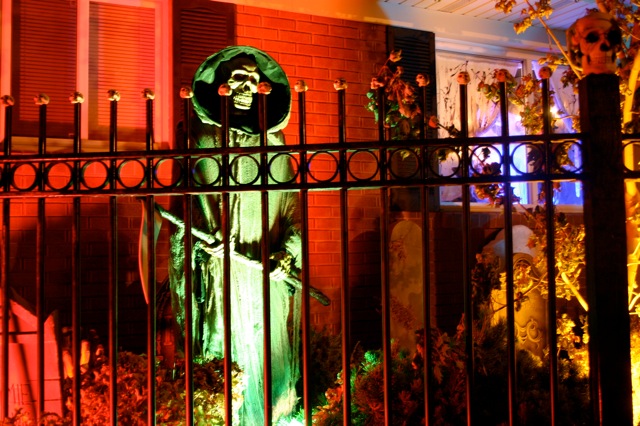Display 2008