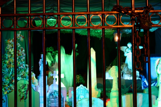 Display 2008