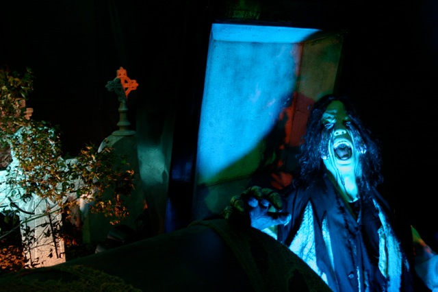 Display 2008