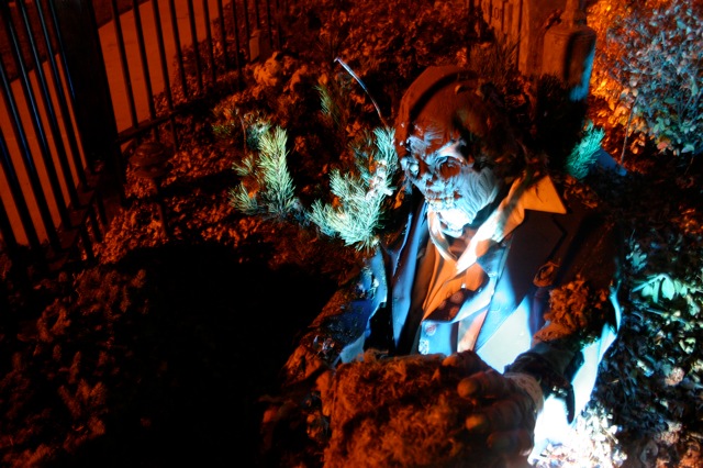 Display 2008