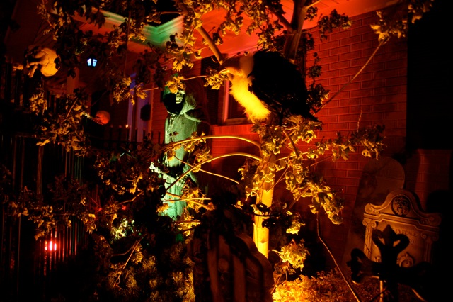 Display 2008