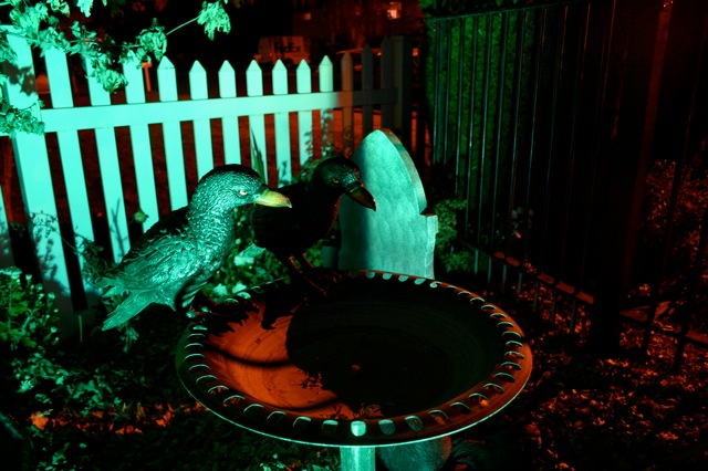 Display 2008