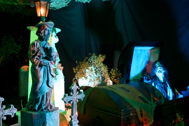 Display 2008