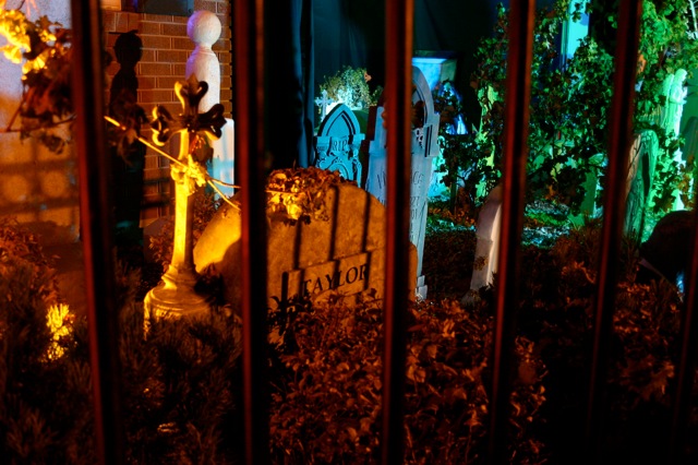 Display 2008