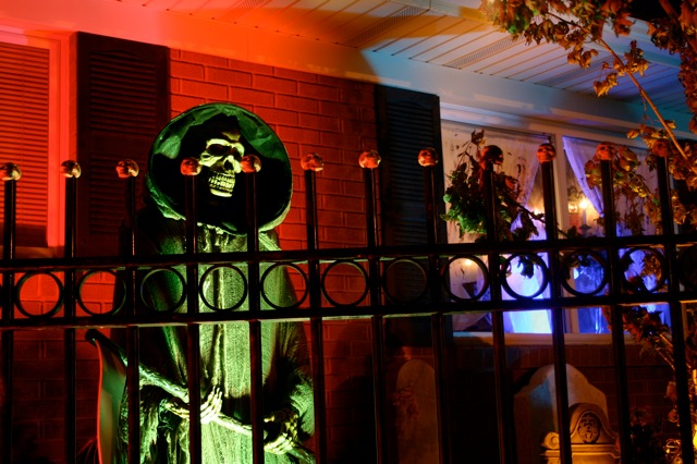 Display 2008
