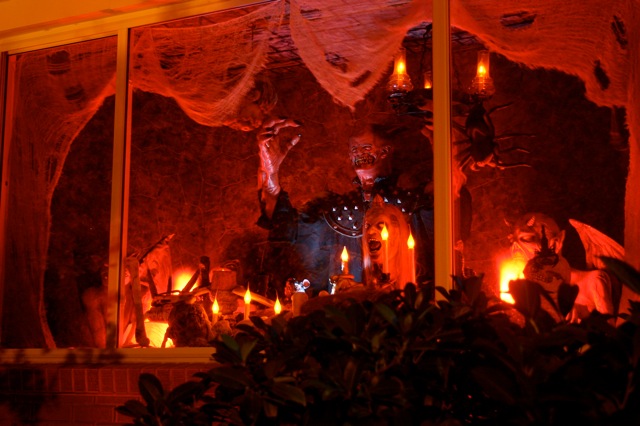 Display 2008