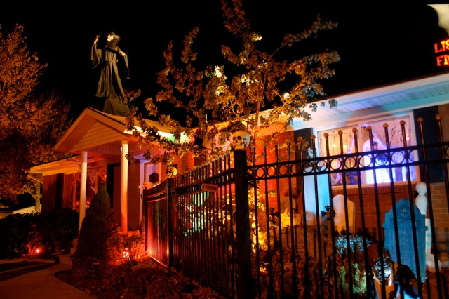 Display 2007