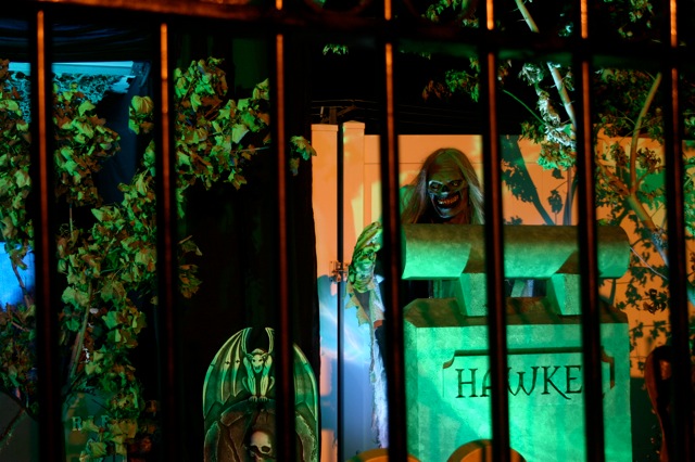 Display 2008