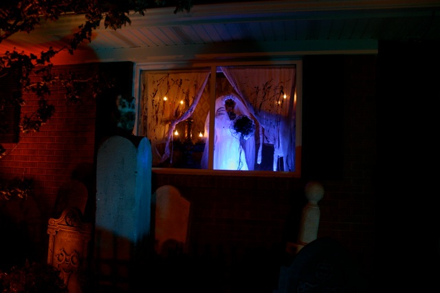 Display 2008