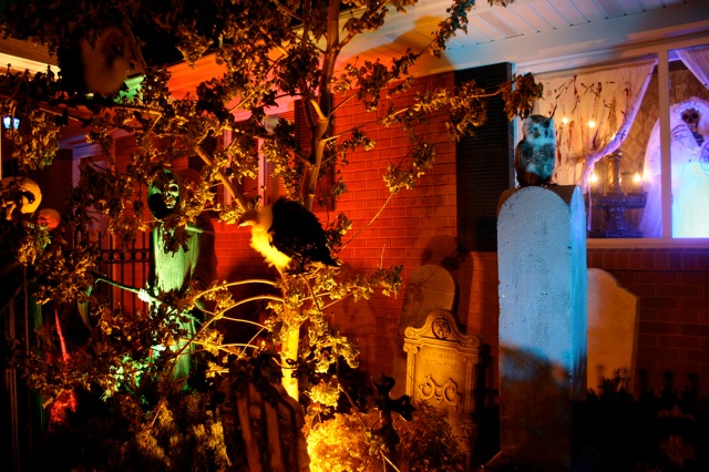Display 2008