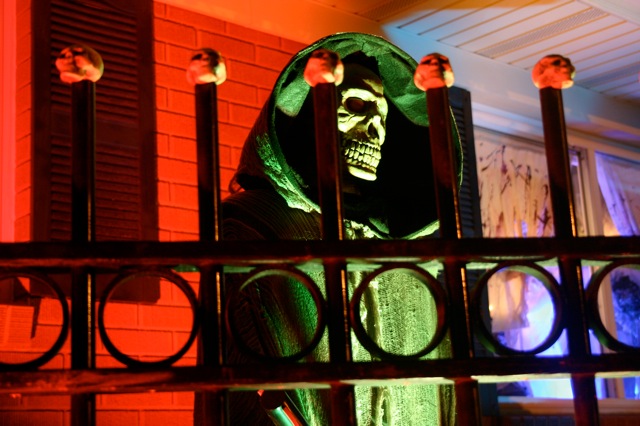 Display 2008