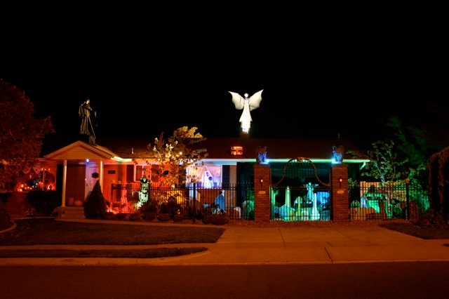 Display 2008