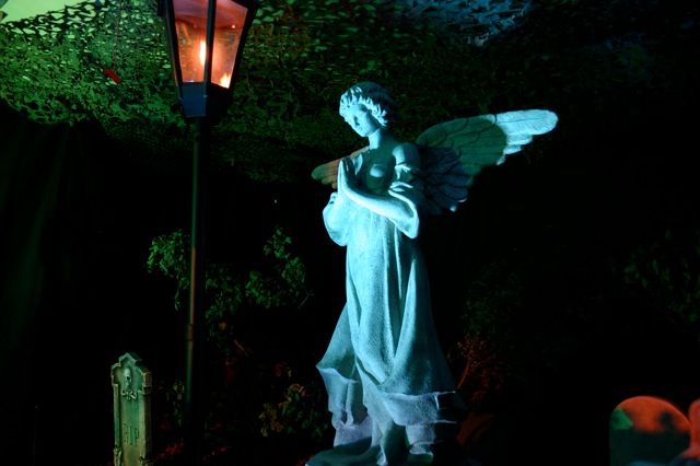 Display 2008