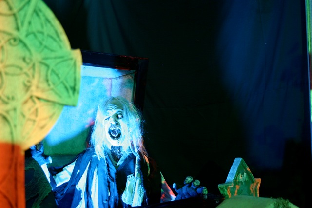 Display 2008
