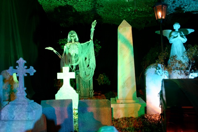 Display 2008