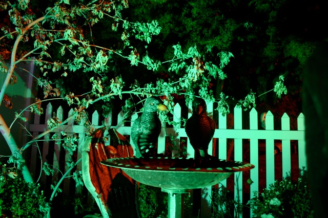 Display 2008