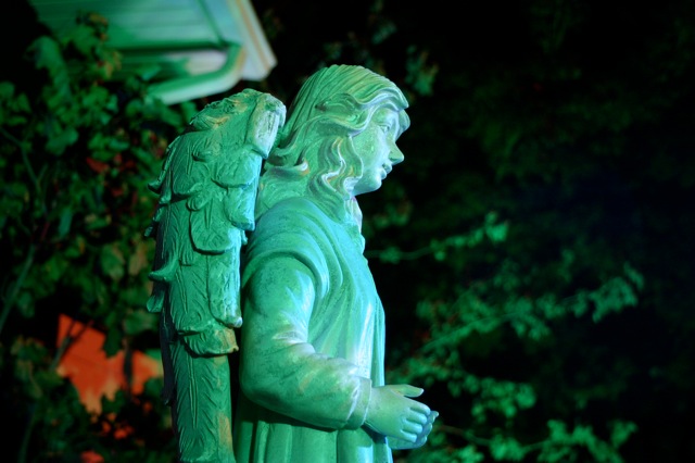 Display 2008