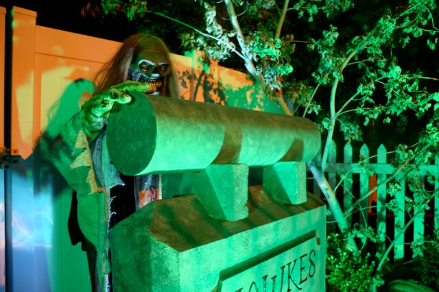 Display 2008