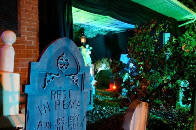 Display 2008