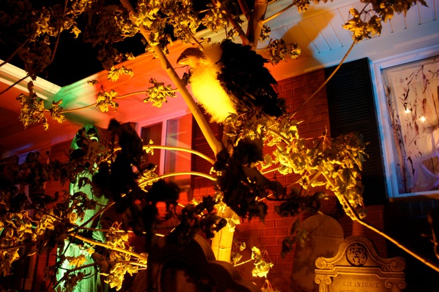 Display 2008