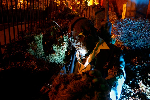 Display 2008
