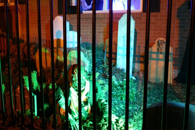 Display 2007
