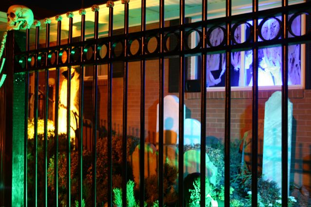 Display 2007
