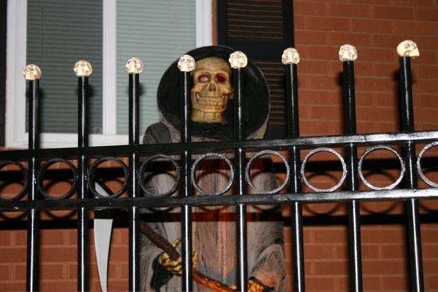 Display 2007