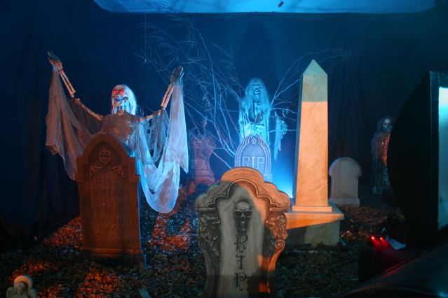 Display 2007