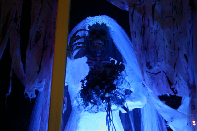 Display 2007
