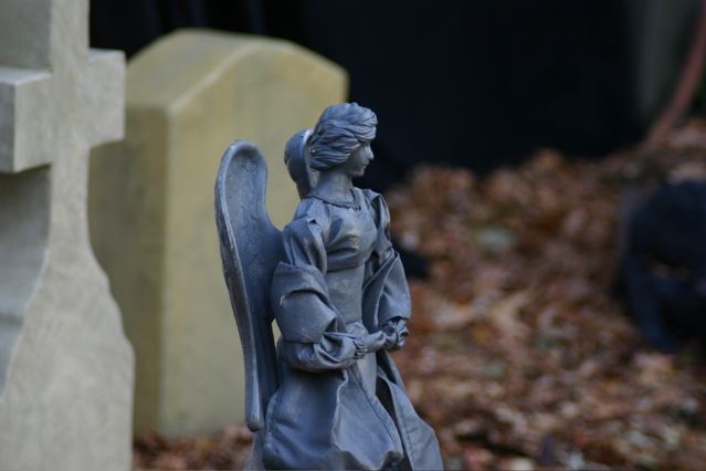 Display 2007